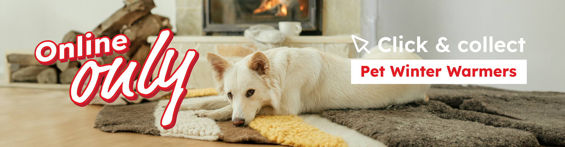 Pet Winter Warmers