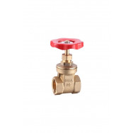 GATE-CHECK-ANGLE VALVES