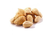 NE PLUS ULTRA ALMOND FRUIT PLANT 10L