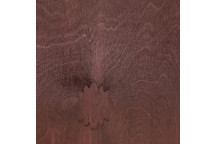 WONDASEAL WILD CHERRY WATERBASED QUICK DRY WOOD STAIN 50ML