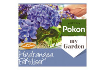 PLANT SHRUB HYDRANGEA ASSORTED 15CM