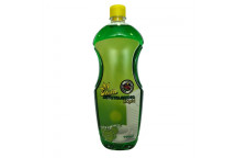 WORLD OF HYGIENE DISHWASH LIQUID CLEANER (FOR HANDWASH) 750ML