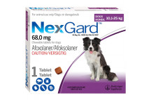 NEXGARD TABLET 10.1-25KG 3G 1 PER PACK