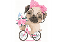 PAINT BY NUMBERS SCHOOLBOY BEAR