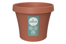 SEBOR NAMIB DUNE PLASTIC POT 10CM