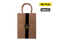 LARGE GIFT BAG 20X25.5CM 3PACK