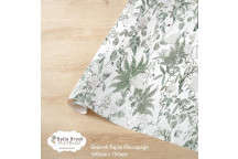 WRAPPING PAPER BOTANICALS 500X750MM
