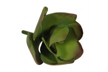 ARTIFICIAL SUCCULENT