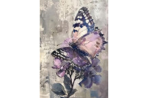SUNLIGHT DREAM DECOUPAGE A4