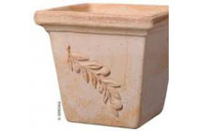 DEROMA QUADRO OLIVE TERRACOTTA CLAY POT 18CM NO.3