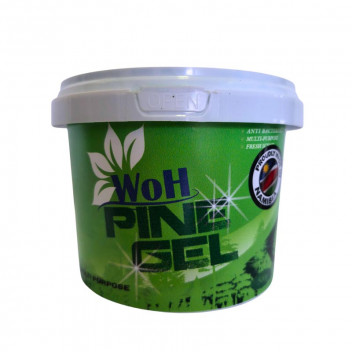 WORLD OF HYGIENE GENERAL PURPOSE PINE GEL FLOOR CLEANER 500G
