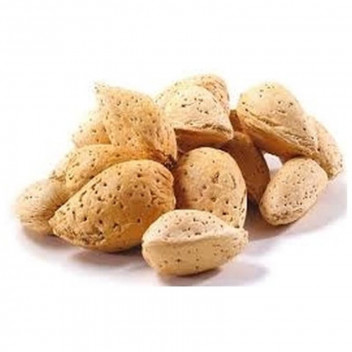 NE PLUS ULTRA ALMOND FRUIT PLANT 10L