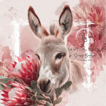 DECOUPAGE PROTEA DONKEY PORTRAIT A4