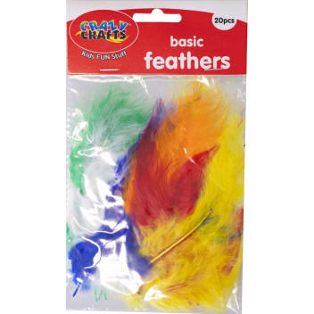 CRAFT BASIC FEATHER VARIOUS COLOURS 20PIECE