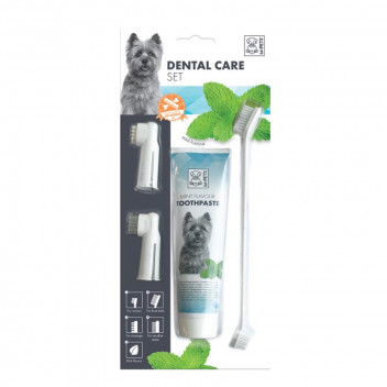 DENTAL CARE MINT PET TOOTHPASTE KIT