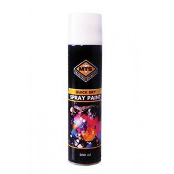 MTS PEARL WHITE SPRAY PAINT 300ML