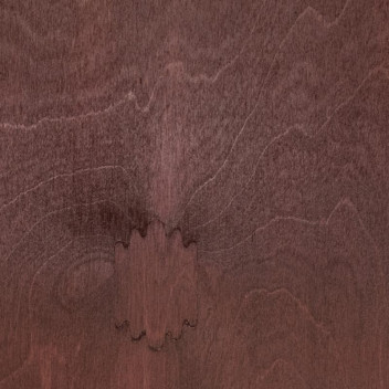 WONDASEAL WILD CHERRY WATERBASED QUICK DRY WOOD STAIN 5L