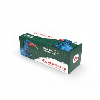 WORMS AND BUGS SUET BALLS BIRD FOOD 3X125G