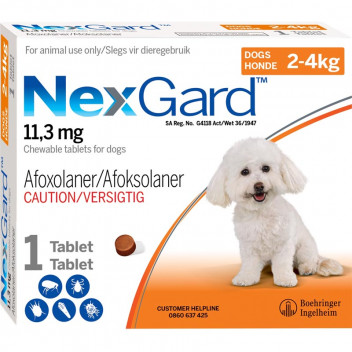 NEXGARD TABLET 2-4KG 0.5G 1 PER PACK