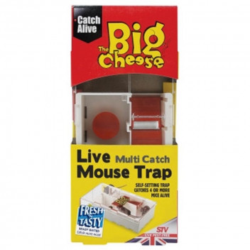 TOPLINE MULTI-CATCH MOUSE TRAP BIG CHEESE.