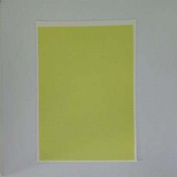 CRAFT LEMON GREEN FAUX LEATHER A22