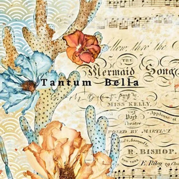 TIDES AND TREASURES DECOUPAGE A3