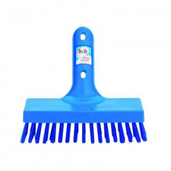 BRUSH POOL AB6 ALGAE HTH