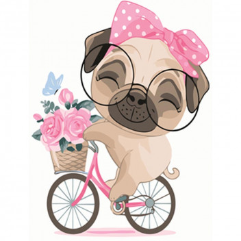 PAINT BY NUMBERS SCHOOLBOY BEAR