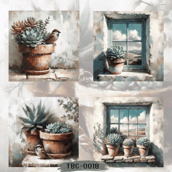 DECOUPAGE WINDOWS AND SUCCULENTS 4PP 4XBLOCKS