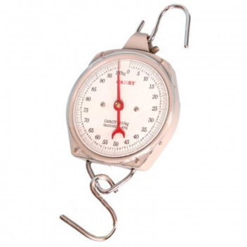 SUSPENDED SCALE WITH HOOKS 100KG