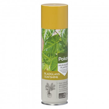 POKON LEAFSHINE SPRAY CLEANER 250ML