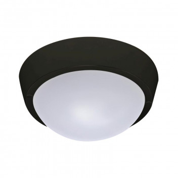 BLACK COOL WHITE 10WATT OUTDOOR LED CEILING AND WALL LIGHT