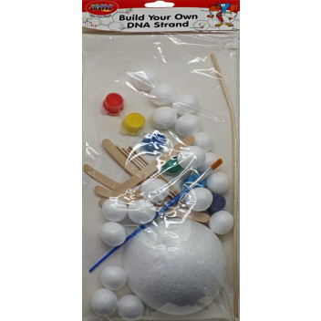BUILD YOUR OWN DNA CRAFT INCL STICKS STAND PAINT BRUSH