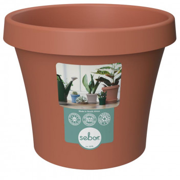 SEBOR NAMIB DUNE PLASTIC POT 15CM