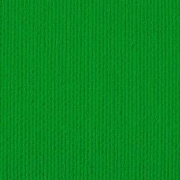 WILD PARROT ACRYLIC CRAFT PAINT 50ML