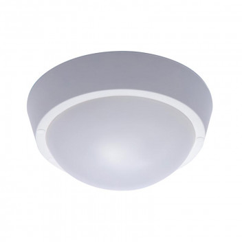 WHITE COOL WHITE 25WATT OUTDOOR LED CEILING AND WALL LIGHT