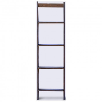 WILD WAYS DECORATIVE LADDER