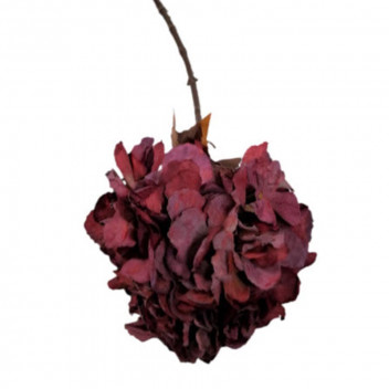 HYDRANGE CREAM/BROWN ARTIFICIAL FLOWER