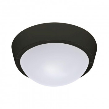 BLACK COOL WHITE 18WATT OUTDOOR LED CEILING AND WALL LIGHT
