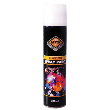 MTS GLOSS WHITE SPRAY PAINT 300ML