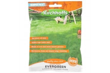 EVERGREEN 100GR BUMPER PACK LAWN SEED