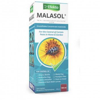 EFEKTO MALASOL INSECTICIDE 100ML EFEKTO MALASOL INSECTICIDE 100ML