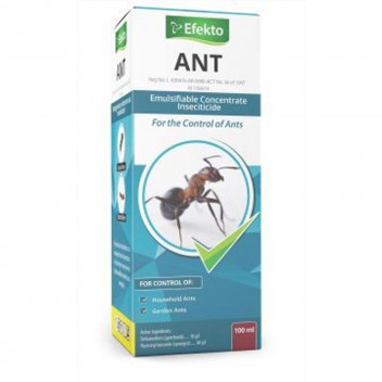 EFEKTO ANT INSECTICIDE 100ML EFEKTO ANT INSECTICIDE 100ML