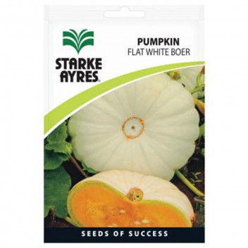 STARKE AYRES PUMPKIN FLAT WHITE BOER 100G STARKE AYRES PUMPKIN FLAT WHITE BOER 100G