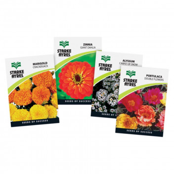 STARKE AYRES VARIETY FLOWER PACKET SEED STARKE AYRES VARIETY FLOWER PACKET SEED